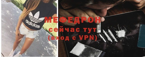 стаф Ессентукская