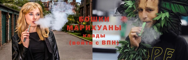 индика Коряжма