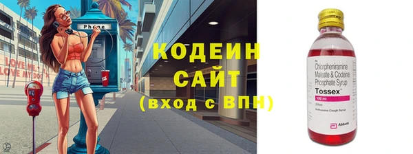 индика Коряжма
