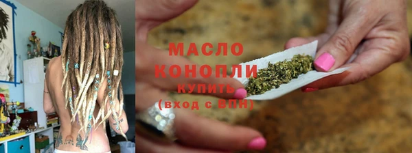 индика Коряжма