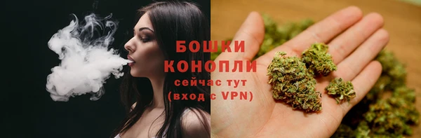 индика Коряжма