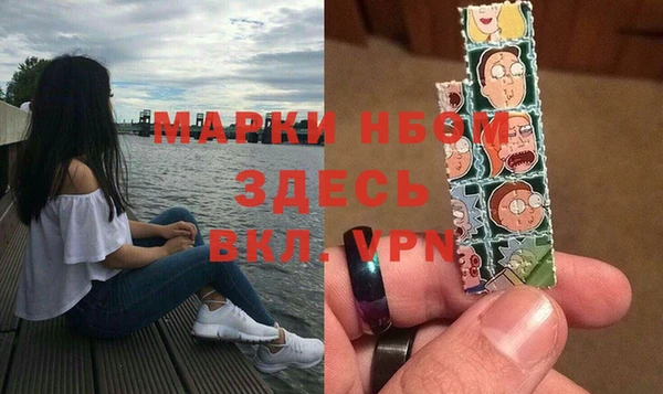 индика Коряжма