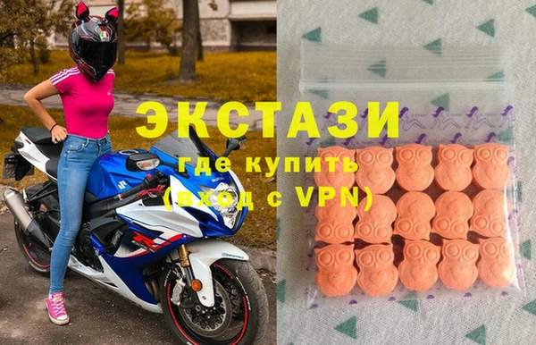 индика Коряжма