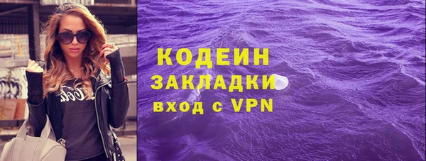 индика Коряжма