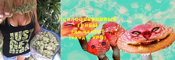 молекула духа Кодинск
