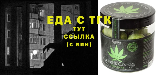 индика Коряжма