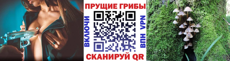 Купить где  Котовск  Галлюциногенные грибы GOLDEN TEACHER 